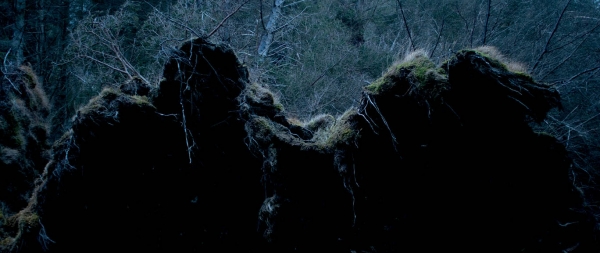 38_notessurlattraction-web20