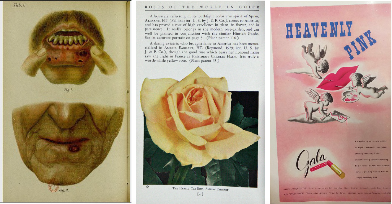 Bildschirmfoto 2019-08-06 um 14.37.32